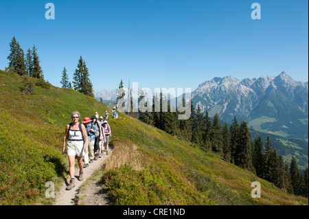 Wandergruppe zu Fuß über einen schmalen Pfad, der nördlichen Kalkalpen, vor Leogang Stein Berge, Alpen Stockfoto