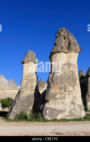 Feenkamine, Felsformationen aus Tuffstein, Pasabag Tal, Göreme, Kappadokien, Zentral-Anatolien, Türkei Stockfoto