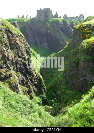 Dunnotar Castle, Großbritannien, Schottland, Aberdeen, Stonehaven Stockfoto