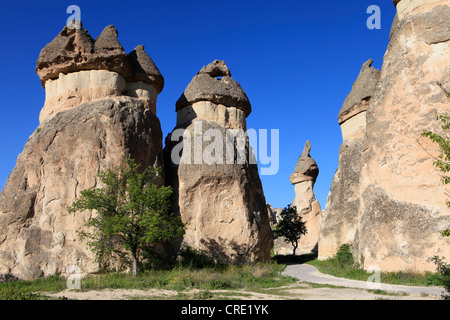 Feenkamine, Felsformationen aus Tuffstein, Pasabag Tal, Göreme, Kappadokien, Zentral-Anatolien, Türkei Stockfoto