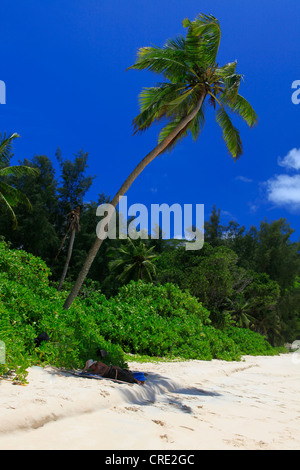 Frau liegt im Schatten einer Kokospalme (Cocos Nucifera) am Strand von Anse Intendance, Mahe Island, Seychellen, Afrika Stockfoto