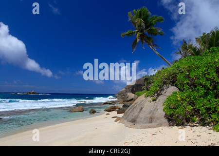 Kokospalme (Cocos Nucifera) und Granit Felsen am Anse Cache Strand, Mahe Island, Seychellen, Afrika, Indischer Ozean Stockfoto