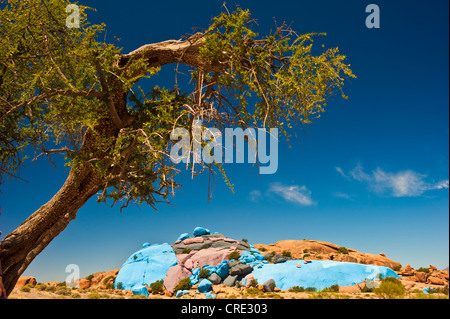 Gemalte Felsen des belgischen Künstlers Jean Verame und ein Arganbaum (Argania Spinosa), in der Nähe von Tafraoute, Anti-Atlas, Südmarokko Stockfoto