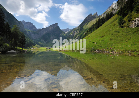See-Seealpsee im Alpstein Gebirge, hinter Berg Säntis, Wasserau, Kanton Appenzell, Schweiz, Europa Stockfoto