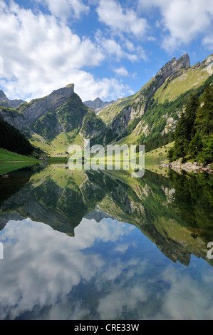 See-Seealpsee im Alpstein Gebirge, hinter Berg Säntis, Wasserau, Kanton Appenzell, Schweiz, Europa Stockfoto