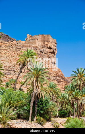 Ausgetrocknetes Flussbett Id Aissa mit Datum Bäume (Phoenix) und Agadir Aguelluy, eine Burg auf einem Felsen, Amtoudi Stockfoto