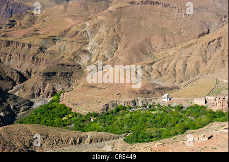 Die kleine Siedlung umgeben von Bäumen in einem Tal, Atlasgebirge, Marokko, Afrika Stockfoto