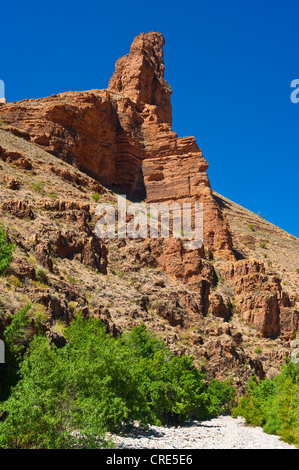 Typische steinige Landschaft mit Bäumen wächst in einem trockenen Flussbett in Südmarokko Ait Mansour Tal, Anti-Atlas-Gebirge, Stockfoto