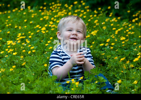 Baby Junge sitzt im Bereich der Butterblumen Shropshire, England Stockfoto