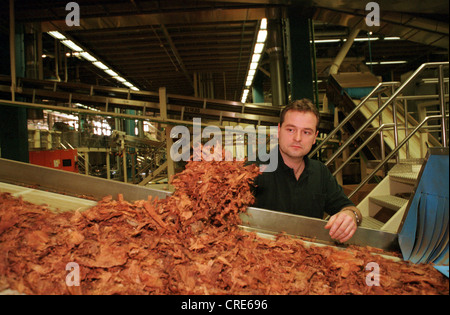 Ein Arbeiter bei Philip Morris-Werk in Berlin-Neukölln, Deutschland Stockfoto