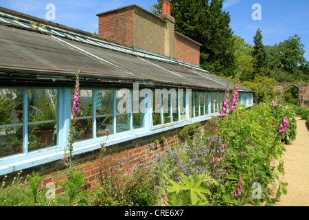 Wildblumen Garten und Gewächshaus bei Down House, Haus von Charles Darwin, Hotel, Kent UK Stockfoto