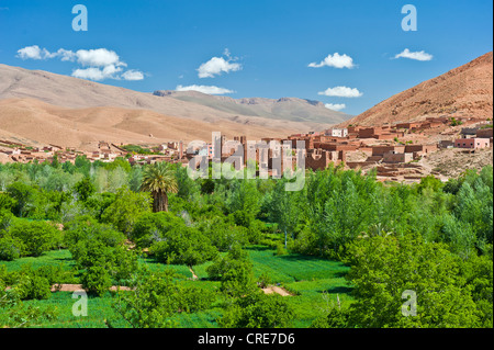 Typische Landschaft im Tal des Flusses Dades, kleine Siedlung, eine Kasbah der Berber und kultivierten Feldern Stockfoto