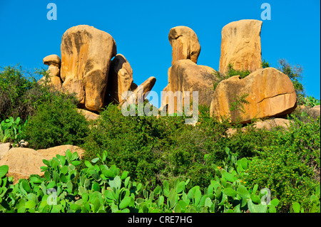 Riesige Granitfelsen, kleine Bäume in Arganöl (Argania Spinosa) und Feigenkaktus (Opuntia Ficus Indica) im Anti-Atlas-Gebirge Stockfoto