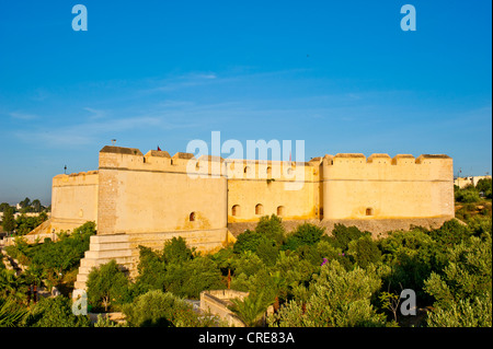 Riad, Stadtschloss, umgeben von Bäumen, Fez, Marokko, Afrika Stockfoto