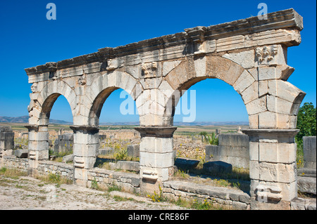 Römische Ruinen, antike Stadt Volubilis, UNESCO-Weltkulturerbe, Marokko, Nordafrika, Afrika Stockfoto