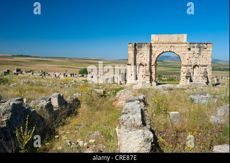 Der Triumphbogen der Caracalla-Thermen, römische Ruinen, antike Stadt Volubilis, UNESCO-Weltkulturerbe, Marokko, Nordafrika, Afrika Stockfoto