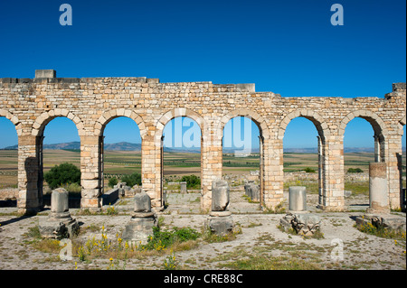 Basilika, römische Ruinen, antike Stadt Volubilis, UNESCO-Weltkulturerbe, Marokko, Nordafrika, Afrika Stockfoto