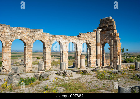 Basilika, römische Ruinen, antike Stadt Volubilis, UNESCO-Weltkulturerbe, Marokko, Nordafrika, Afrika Stockfoto