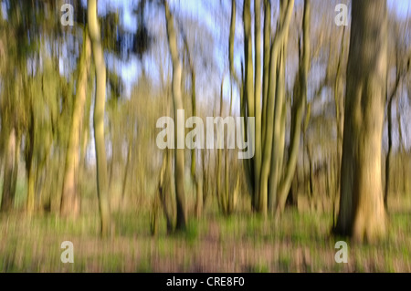 Woodland-Szene mit impressionistische Fotografie Technik Stockfoto