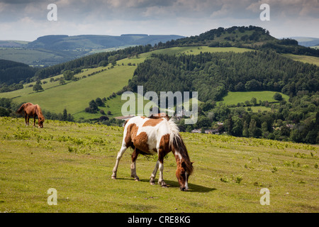 Burrow Hügel und das Dorf Hopesay, von Hopesay Hill, in der Nähe von Craven Arms, Shropshire aus gesehen Stockfoto