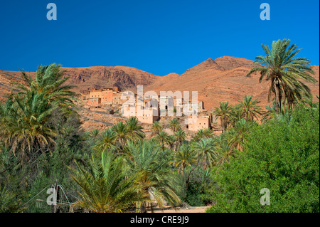 Kleinen Berberdorf mit Palmenhain in der spektakulären Bergwelt des Anti-Atlas, Ait Masour Tal, südlichen Marokko Stockfoto