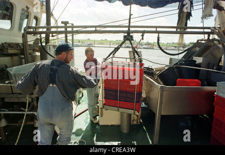 Krabbenfischer zum Löschen der Ladung Greetsiel, Deutschland Stockfoto