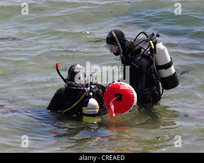 Taucher, die ins Meer vom Strand, Falmouth, Cornwall, UK Stockfoto