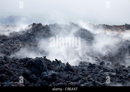 Noch warm Lava aus dem Vulkan Piton De La Fournaise im 2007 dämpfen nach Regen, am Piton Sainte-Rose Stockfoto