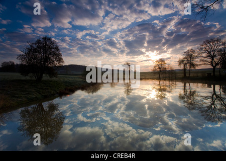 Spiegelung der Wolken am Morgen in einem kleinen Teich in der Nähe von Jocketa, Deutschland, Sachsen, Jocketa Stockfoto