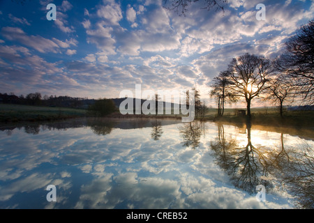 Spiegelung der Wolken am Morgen in einem kleinen Teich in der Nähe von Jocketa, Deutschland, Sachsen, Jocketa Stockfoto