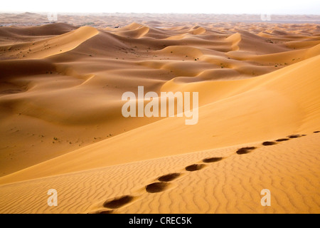 Dünen, Erg Chegaga Region, Sahara Wüste nahe Mhamid, Marokko, Afrika Stockfoto