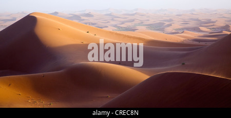 Dünen, Erg Chegaga Region, Sahara Wüste nahe Mhamid, Marokko, Afrika Stockfoto