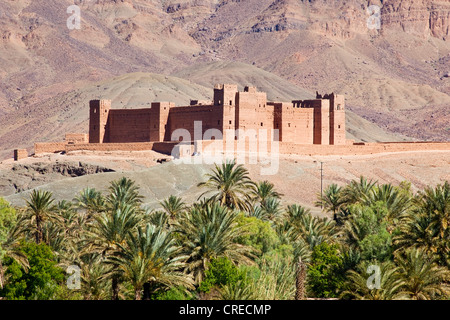 Tamnougalt Kasbah das Draa-Tal in der Nähe von Agdz, Marokko, Afrika Stockfoto