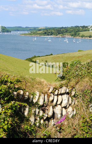 Blick auf die Helford River in der Nähe Mawnan Smith in Cornwall, Großbritannien Stockfoto