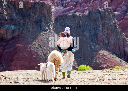 Frau mit Schafen, die mit einem Kind auf dem Rücken, in der Nähe von Ounila Tal, hohen Atlas-Gebirge in der Nähe von Ouarzazate, Marokko, Afrika Stockfoto