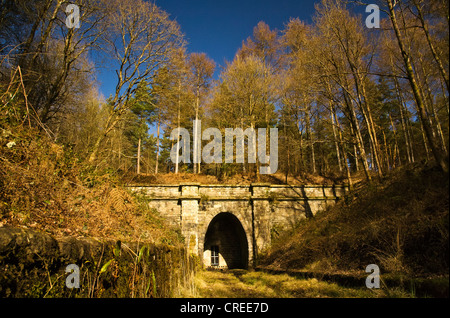 Ansicht des Mireystock-Tunnels Stockfoto