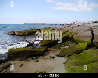 Felsige Küste in Los Cristianos Stockfoto