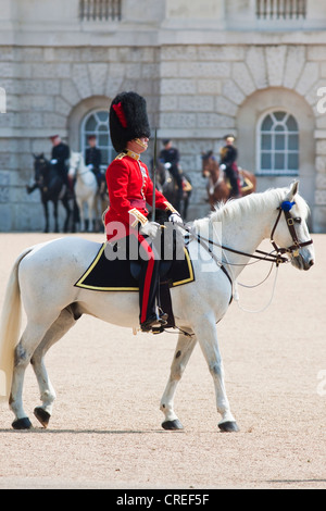 Trooping die Farbe-Probe Stockfoto