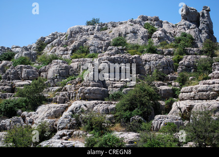 Karstlandschaft, El Torcal Nationalpark, Torcal de Antequera, Provinz Malaga, Andalusien, Südspanien, Westeuropa. Stockfoto