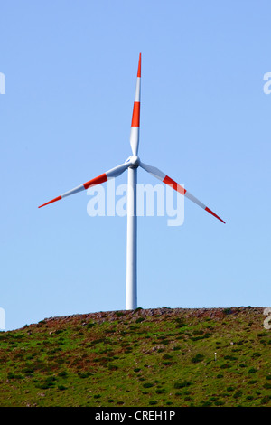 Windrad auf Paul da Serra Hochebene, Madeira, Portugal, Europa Stockfoto