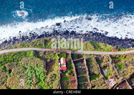 Felder auf den felsigen Klippen der Atlantikküste bei Achadas da Cruz, Madeira, Portugal, Europa Stockfoto