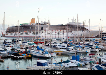 Kreuzfahrtschiffes Arcadia in der Marina, Funchal, Madeira, Portugal, Europa Stockfoto