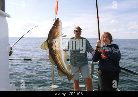 Frischer Dorsch fangen auf, Ostsee, Deutschland Stockfoto