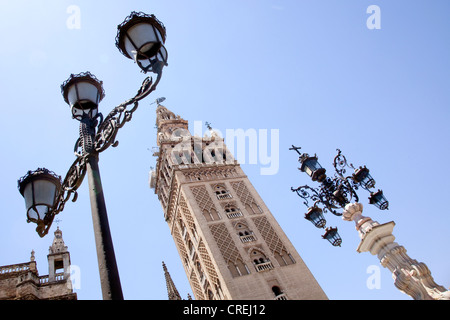 Giralda, Glockenturm der Kathedrale Santa Maria, UNESCO-Weltkulturerbe, Sevilla, Andalusien, Spanien, Europa Stockfoto