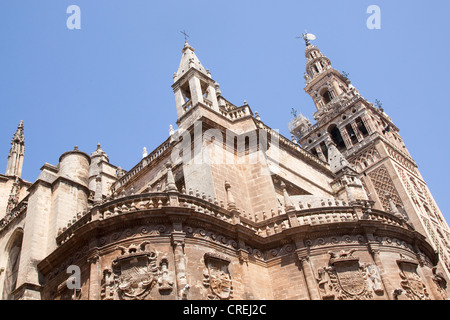 Giralda, Glockenturm der Kathedrale Santa Maria, UNESCO-Weltkulturerbe, Sevilla, Andalusien, Spanien, Europa Stockfoto