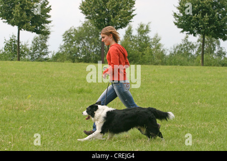 Border Collie (Canis Lupus F. Familiaris), junge Frau mit einem Hund über eine Wiese laufen Stockfoto