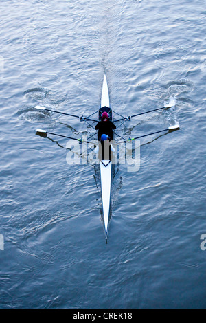 Ruderer beim Training in einem Ruderboot, zweier am Mainufer, Frankfurt Am Main, Hessen, Deutschland, Europa Stockfoto