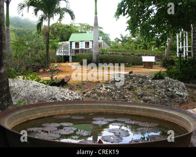 Altes Herrenhaus auf der Karibikinsel Nevis, St. Kitts und Nevis, Nevis Stockfoto