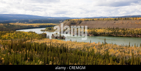 Fife Finger Rapids, Indian Summer, Herbstlaub, in Herbstfarben, Yukon River in der Nähe von Carmacks, Yukon Territorium, Kanada Stockfoto