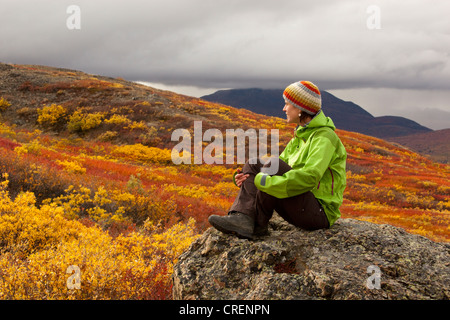 Junge Frau sitzt auf einem Felsen, Ruhe, Aussicht, subalpine Tundra, Indian Summer zu genießen lässt in Herbstfarben, Herbst Stockfoto